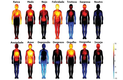 como as emocoes reagem no seu corpo